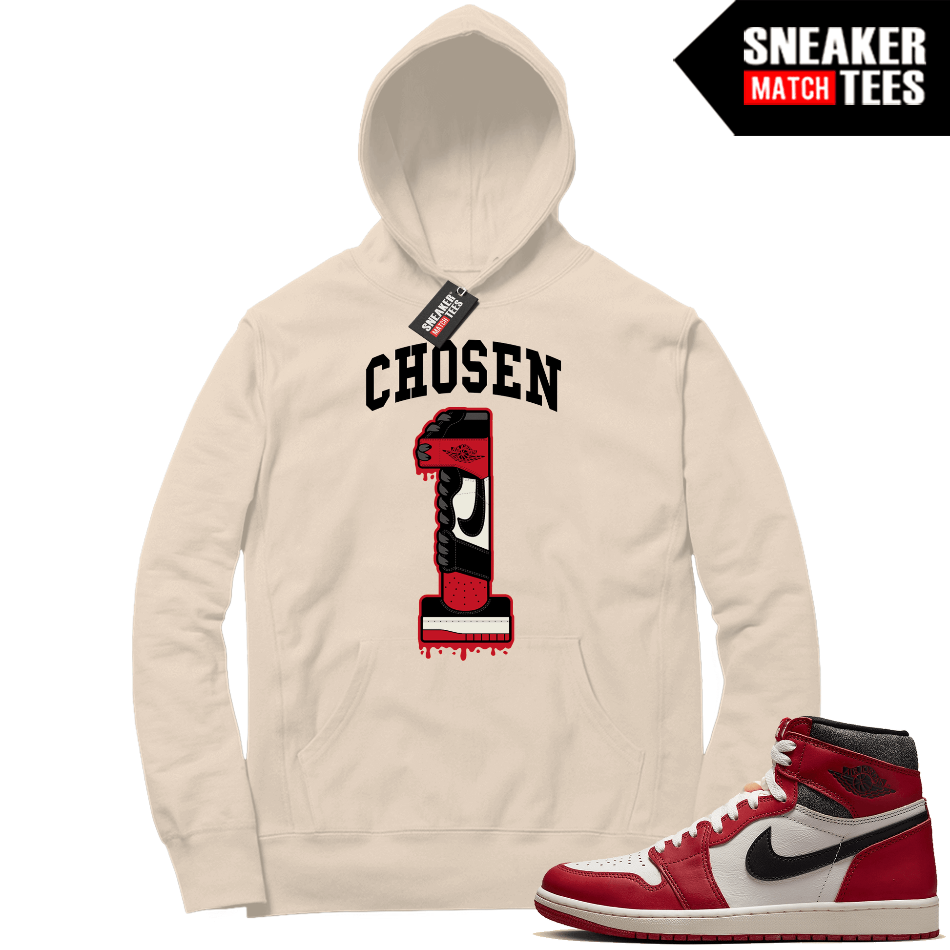 Chicago 1s Lost and Found Sneaker Match Hoodie Sail Chosen One