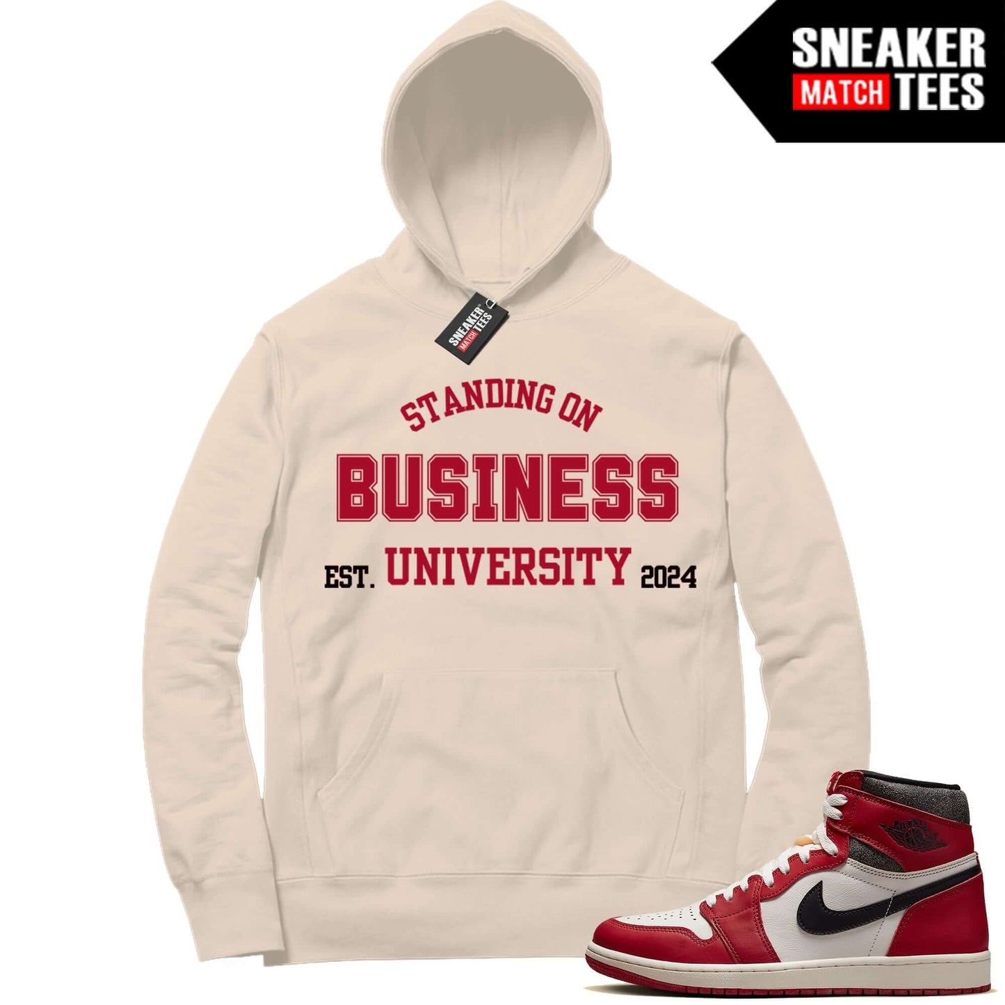 Jordan 1 Chicago Sneaker Match Hoodie Sail University